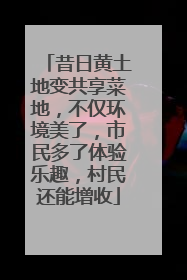 昔日黄土地变共享菜地，不仅环境美了，市民多了体验乐趣，村民还能增收