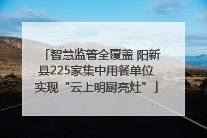 智慧监管全覆盖 阳新县225家集中用餐单位实现“云上明厨亮灶”