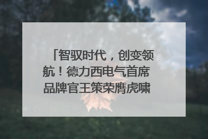 智驭时代，创变领航！德力西电气首席品牌官王策荣膺虎啸奖年度品牌人物