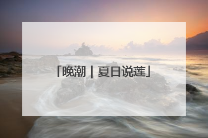 晚潮｜夏日说莲