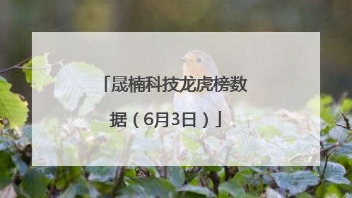 晟楠科技龙虎榜数据（6月3日）
