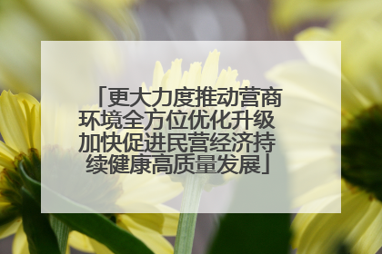 更大力度推动营商环境全方位优化升级加快促进民营经济持续健康高质量发展