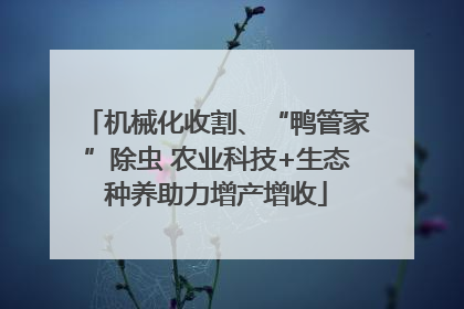 机械化收割、“鸭管家”除虫 农业科技+生态种养助力增产增收