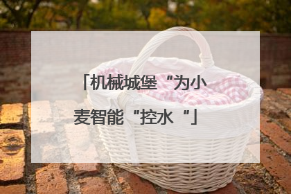 机械城堡“为小麦智能“控水“