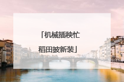 机械插秧忙 稻田披新装