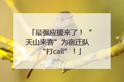 最强应援来了！“天山来客”为宿迁队“打call”！