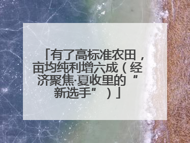 有了高标准农田，亩均纯利增六成（经济聚焦·夏收里的“新选手”）
