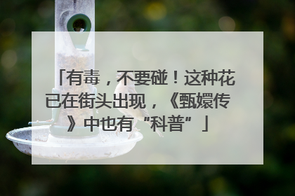有毒，不要碰！这种花已在街头出现，《甄嬛传》中也有“科普”