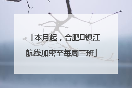本月起，合肥⇋镇江航线加密至每周三班