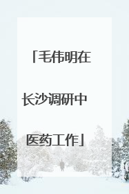 毛伟明在长沙调研中医药工作