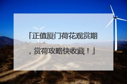正值厦门荷花观赏期，赏荷攻略快收藏！