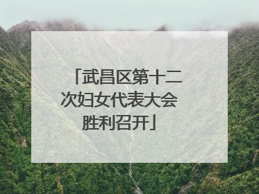 武昌区第十二次妇女代表大会胜利召开