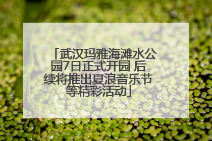 武汉玛雅海滩水公园7日正式开园 后续将推出夏浪音乐节等精彩活动