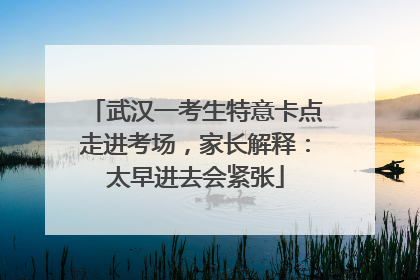 武汉一考生特意卡点走进考场，家长解释：太早进去会紧张