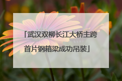 武汉双柳长江大桥主跨首片钢箱梁成功吊装