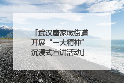 武汉唐家墩街道开展“三大精神”沉浸式宣讲活动