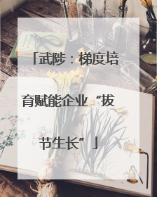 武陟：梯度培育赋能企业“拔节生长”