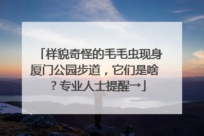 样貌奇怪的毛毛虫现身厦门公园步道，它们是啥？专业人士提醒→