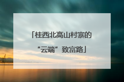 桂西北高山村寨的“云端”致富路