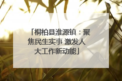 桐柏县淮源镇：聚焦民生实事 激发人大工作新动能