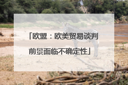 欧盟：欧美贸易谈判前景面临不确定性