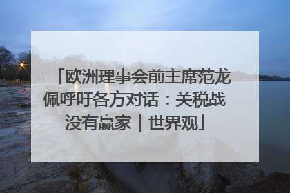 欧洲理事会前主席范龙佩呼吁各方对话：关税战没有赢家｜世界观