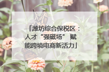 潍坊综合保税区：人才“强磁场” 赋能跨境电商新活力