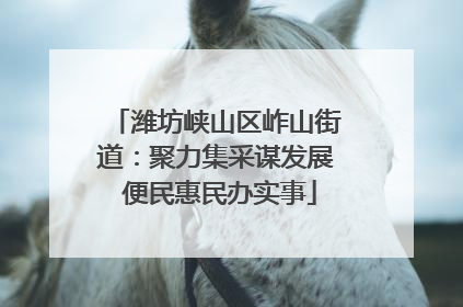 潍坊峡山区岞山街道：聚力集采谋发展 便民惠民办实事