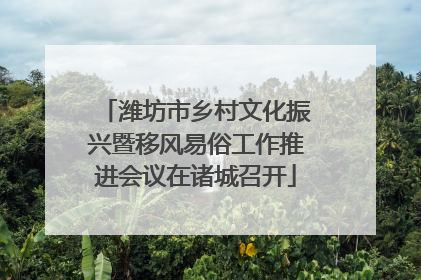 潍坊市乡村文化振兴暨移风易俗工作推进会议在诸城召开