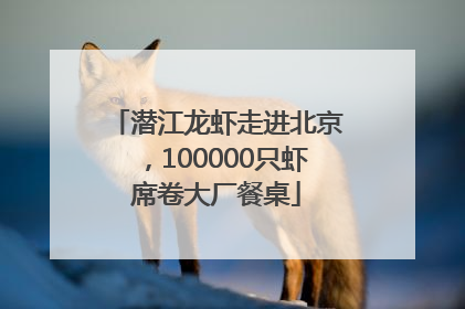 潜江龙虾走进北京，100000只虾席卷大厂餐桌