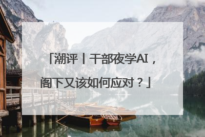潮评丨干部夜学AI，阁下又该如何应对？