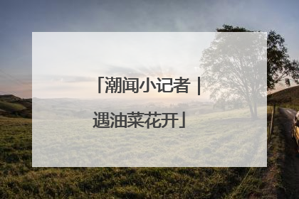 潮闻小记者｜遇油菜花开