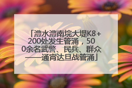 澧水澧南垸大堤K8+200处发生管涌，500余名武警、民兵、群众——通宵达旦战管涌
