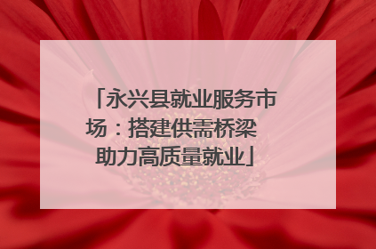 永兴县就业服务市场：搭建供需桥梁 助力高质量就业