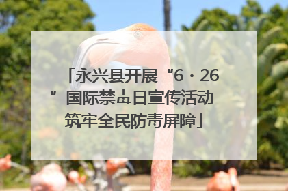 永兴县开展“6・26”国际禁毒日宣传活动 筑牢全民防毒屏障