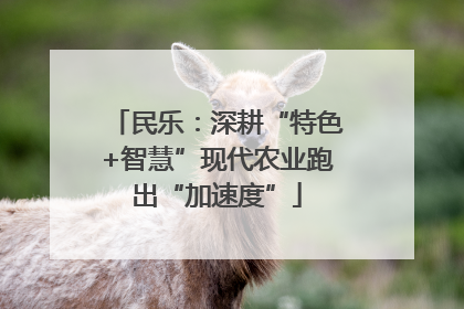民乐：深耕“特色+智慧”现代农业跑出“加速度”