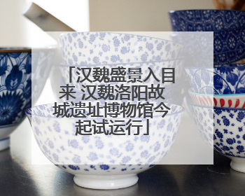 汉魏盛景入目来 汉魏洛阳故城遗址博物馆今起试运行