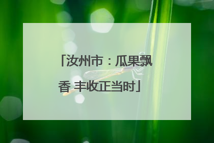 汝州市：瓜果飘香 丰收正当时