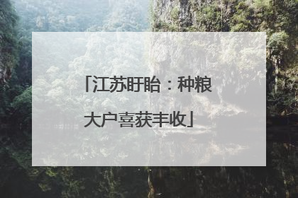 江苏盱眙：种粮大户喜获丰收