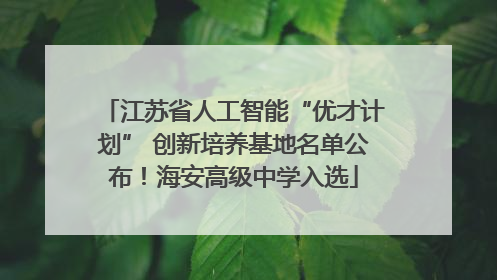 江苏省人工智能“优才计划” 创新培养基地名单公布！海安高级中学入选