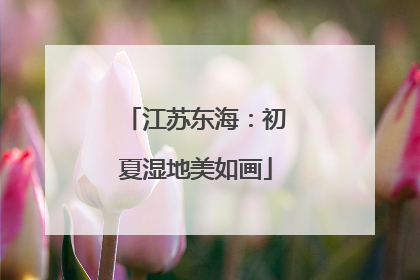 江苏东海：初夏湿地美如画
