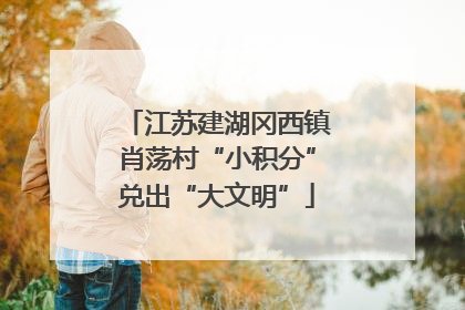 江苏建湖冈西镇肖荡村“小积分”兑出“大文明”