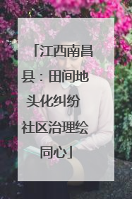 江西南昌县：田间地头化纠纷 社区治理绘同心