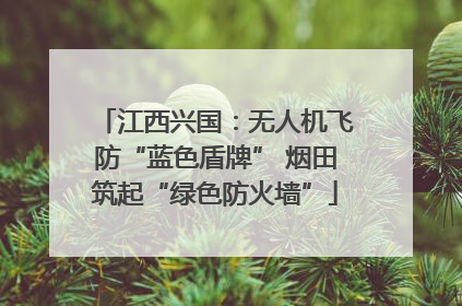 江西兴国：无人机飞防“蓝色盾牌” 烟田筑起“绿色防火墙”