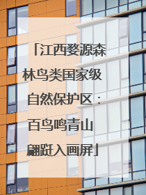 江西婺源森林鸟类国家级自然保护区：百鸟鸣青山 翩跹入画屏