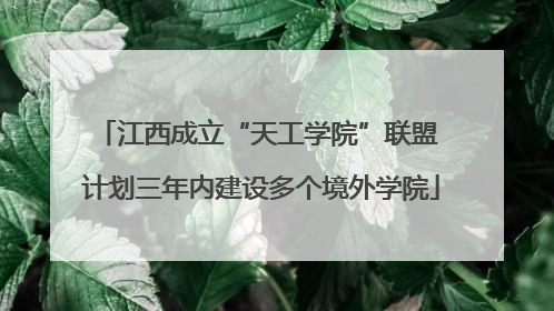 江西成立“天工学院”联盟 计划三年内建设多个境外学院