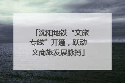 沈阳地铁“文旅专线”开通，跃动文商旅发展脉搏
