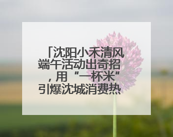 沈阳小禾清风端午活动出奇招，用“一杯米”引爆沈城消费热潮！