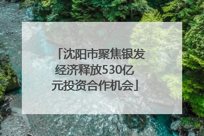 沈阳市聚焦银发经济释放530亿元投资合作机会