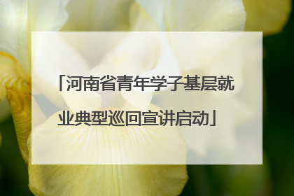 河南省青年学子基层就业典型巡回宣讲启动